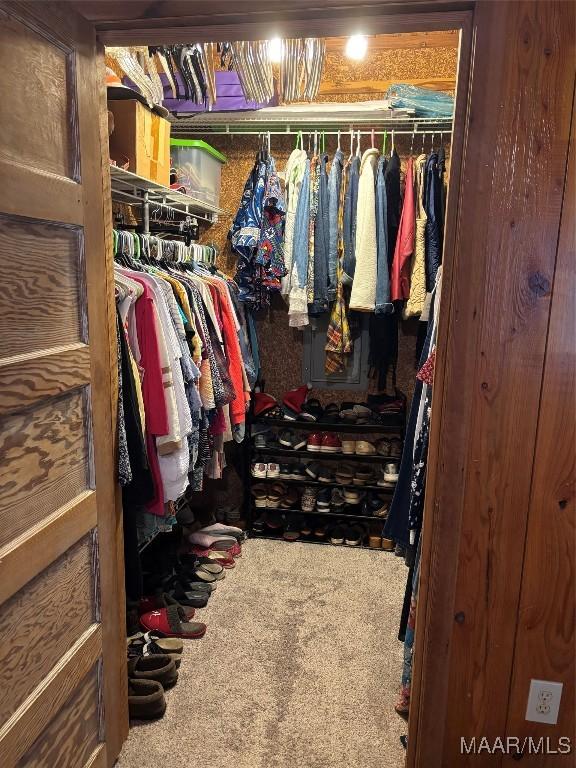 walk in closet with carpet floors