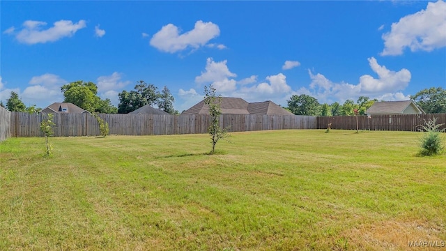 view of yard with a fenced backyard