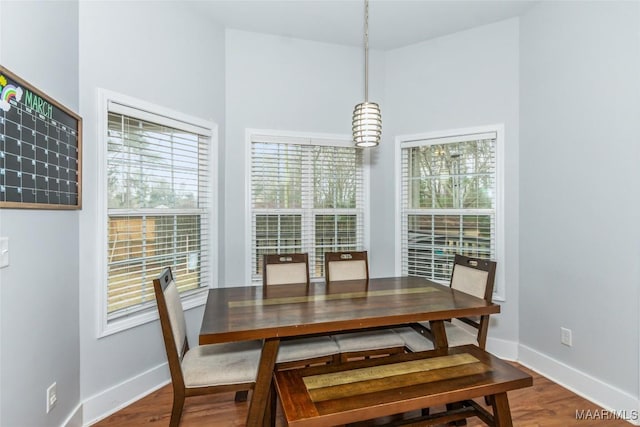 dining space featuring plenty of natural light, baseboards, and wood finished floors