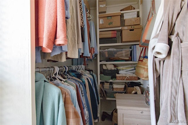 view of walk in closet