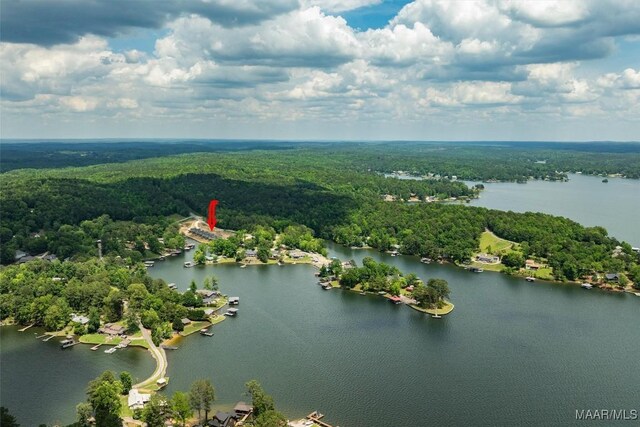 birds eye view of property with a forest view and a water view