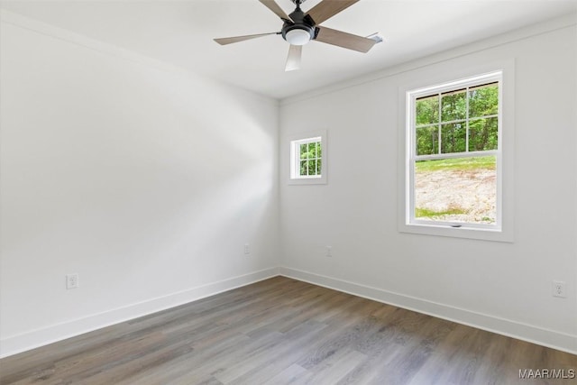 spare room with ceiling fan, wood finished floors, a wealth of natural light, and baseboards