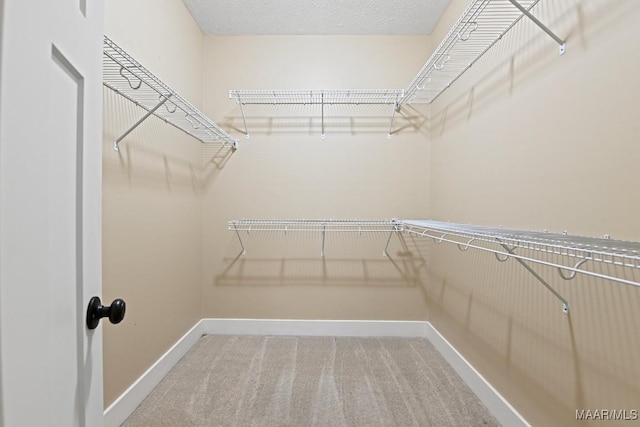 walk in closet with carpet flooring