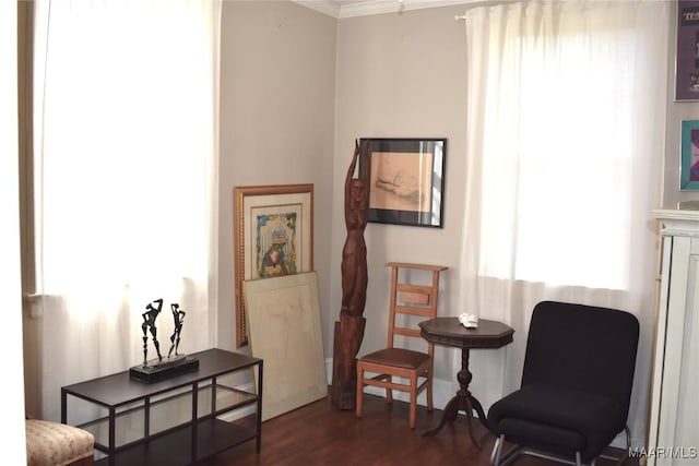 sitting room with dark wood-type flooring