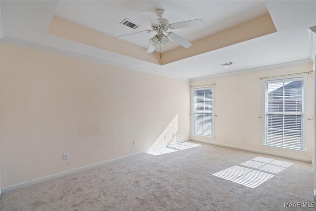 carpeted spare room with a ceiling fan, a raised ceiling, visible vents, and crown molding