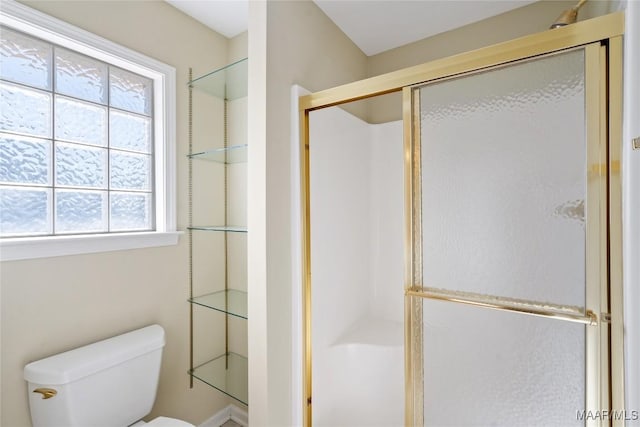 bathroom featuring a shower stall and toilet