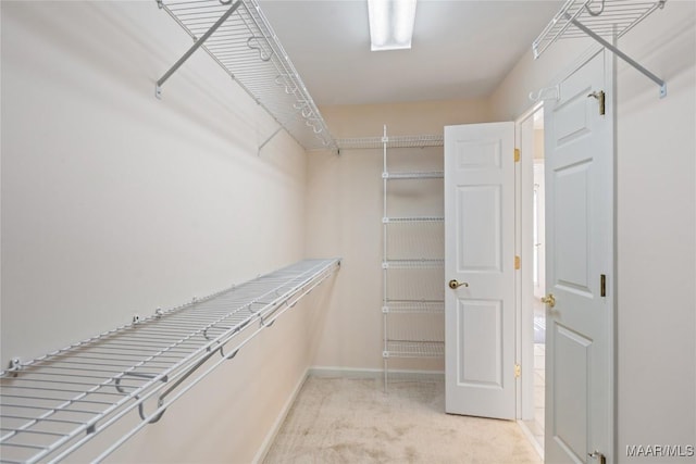 spacious closet featuring carpet