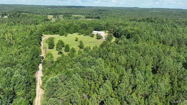 1620 County Road 528, Verbena AL, 36091 land for sale