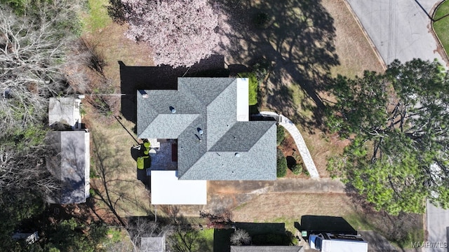 drone / aerial view