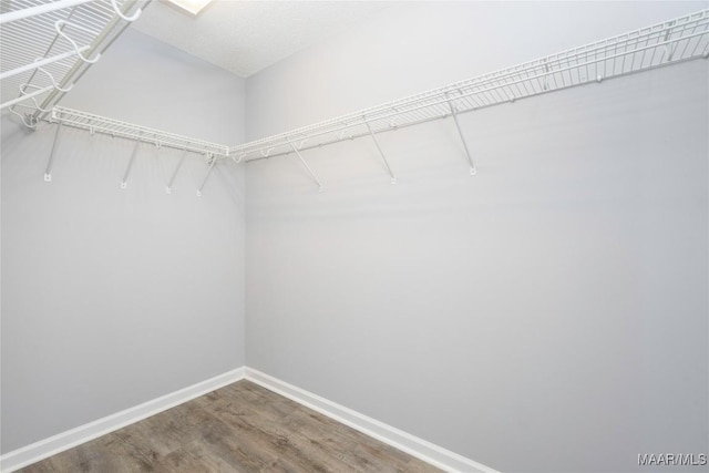 spacious closet featuring wood finished floors