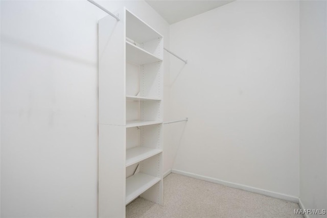 walk in closet with carpet floors