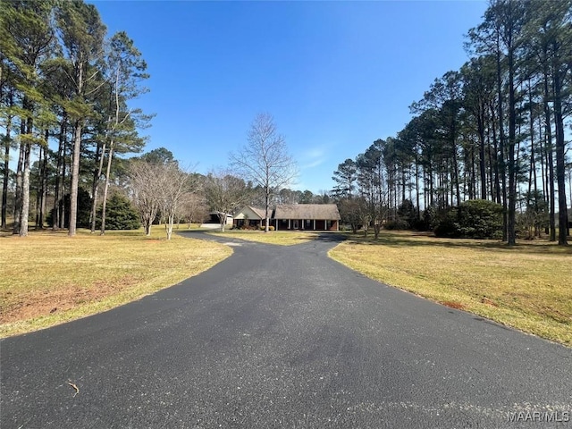 view of street featuring driveway