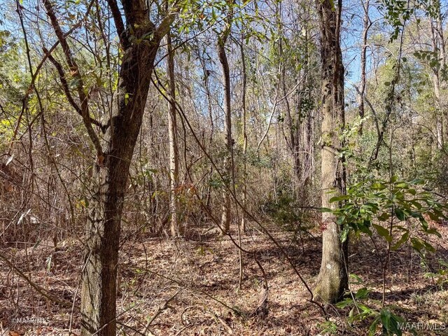 155 4th Ave, Grove Hill, AL 36451 - photo 68