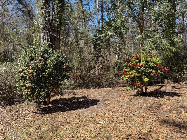 155 4th Ave, Grove Hill, AL 36451 - photo 64