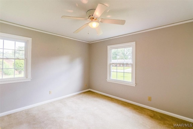 spare room featuring a healthy amount of sunlight, baseboards, and ornamental molding