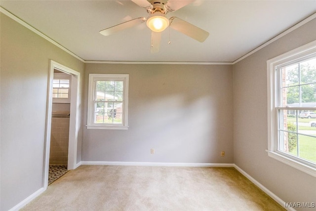 unfurnished room featuring a wealth of natural light, light carpet, and crown molding