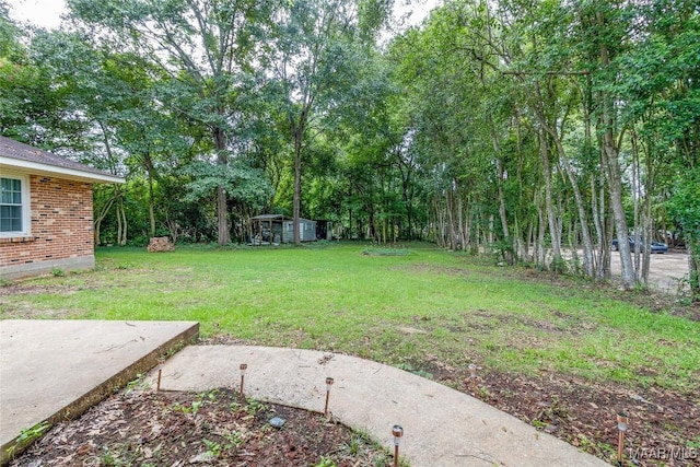 view of yard with a storage shed and an outdoor structure