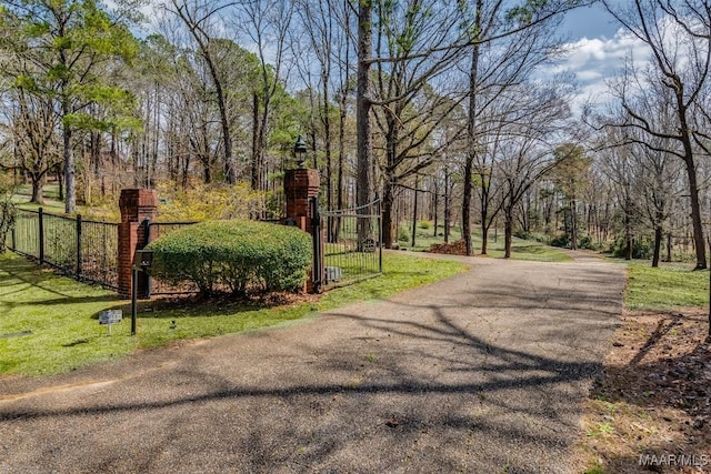 view of street featuring a gate, a gated entry, and aphalt driveway