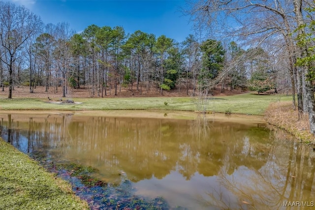 view of water feature