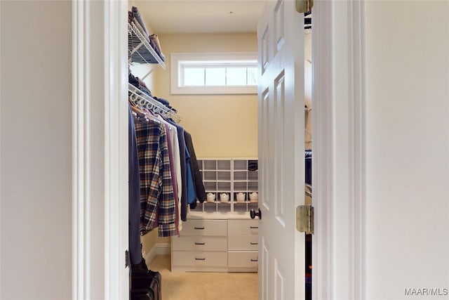 view of walk in closet