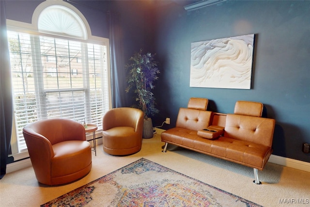 sitting room with baseboards and carpet flooring