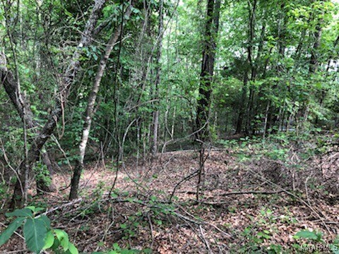 1831 High Valley Rd, Prattville, AL 36067 - photo 11