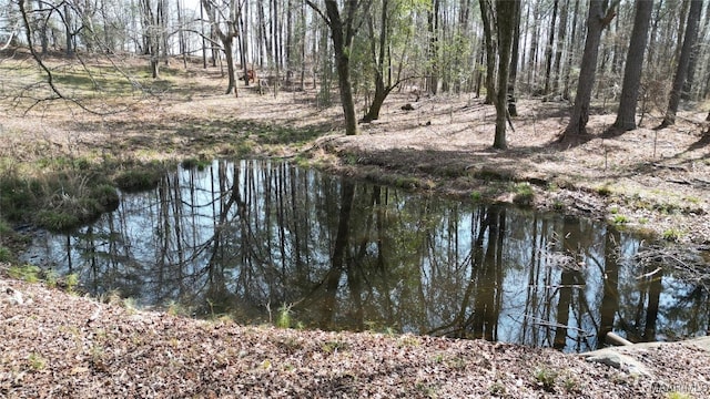 water view featuring a view of trees