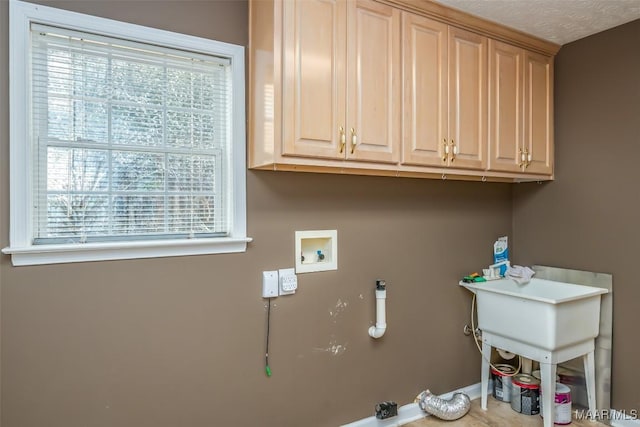 washroom featuring cabinet space and hookup for a washing machine