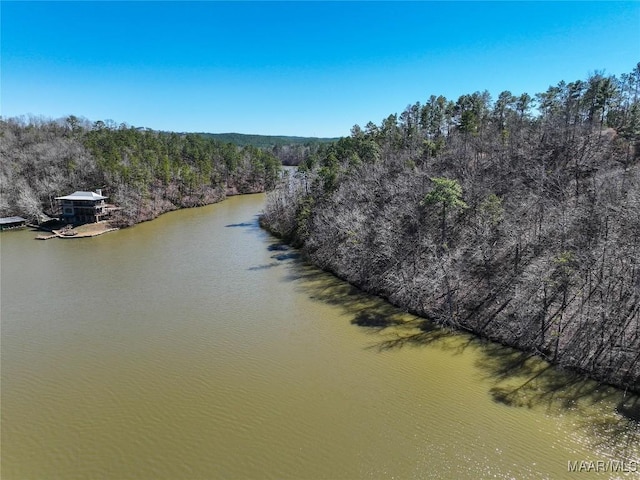 0 Preserve Cir Lot 13, Rockford, AL 25136 - photo 3