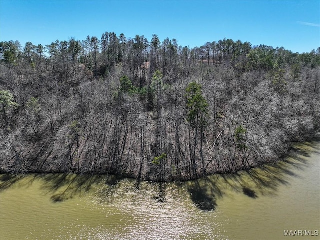 0 Preserve Cir Lot 13, Rockford, AL 25136 - photo 4