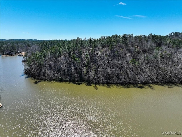 0 Preserve Cir Lot 13, Rockford, AL 25136 - photo 5