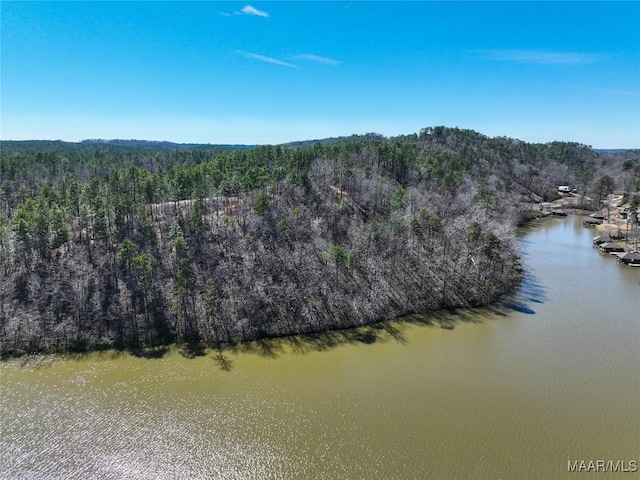 0 Preserve Cir Lot 13, Rockford, AL 25136 - photo 6