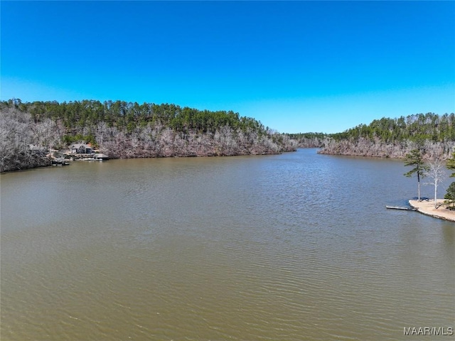 0 Preserve Cir Lot 13, Rockford, AL 25136 - photo 7