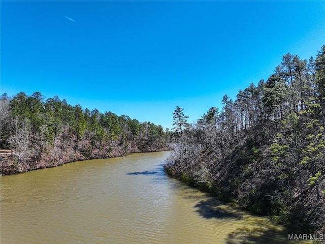 0 Preserve Cir Lot 13, Rockford, AL 25136 - photo 8