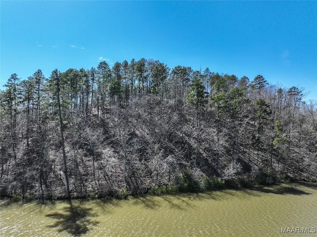 0 Preserve Cir Lot 13, Rockford, AL 25136 - photo 9