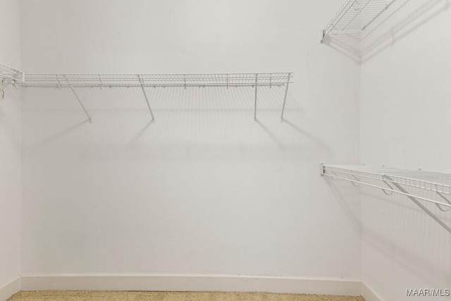 view of spacious closet