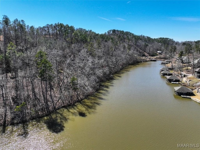 Listing photo 2 for 0 Preserve Cir Lot 12, AL 35136