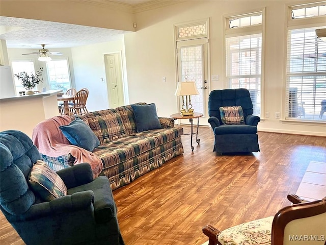 living room featuring crown molding, wood finished floors, and a ceiling fan