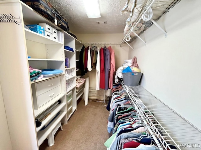 spacious closet with carpet