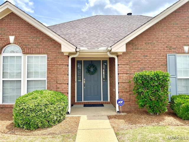 view of exterior entry featuring a shingled roof and brick siding