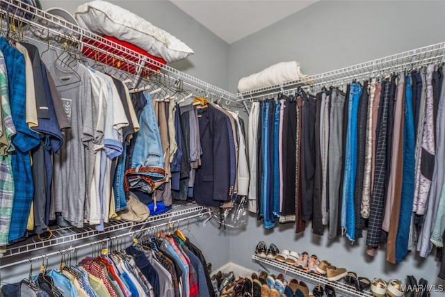 view of spacious closet