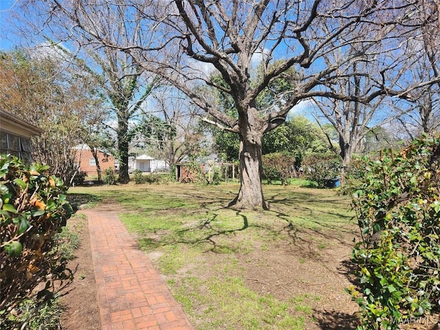view of yard