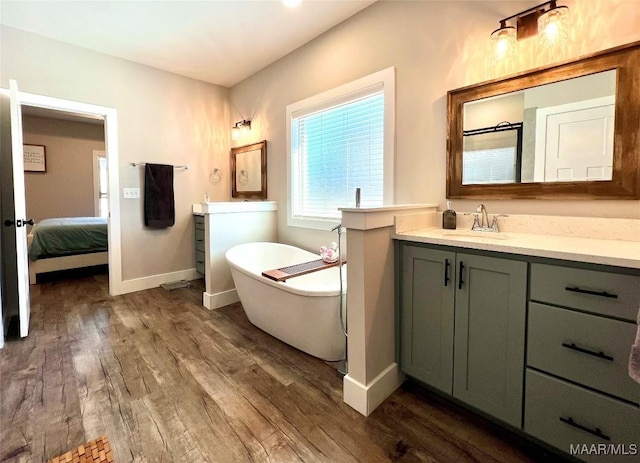 bathroom with a freestanding tub, two vanities, wood finished floors, and a sink