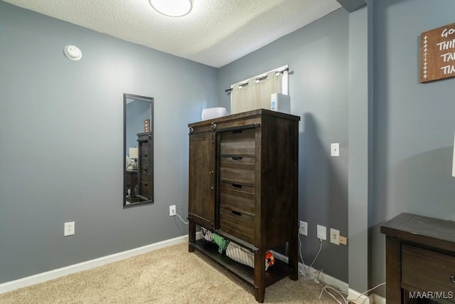 interior details featuring carpet flooring, baseboards, and a textured ceiling