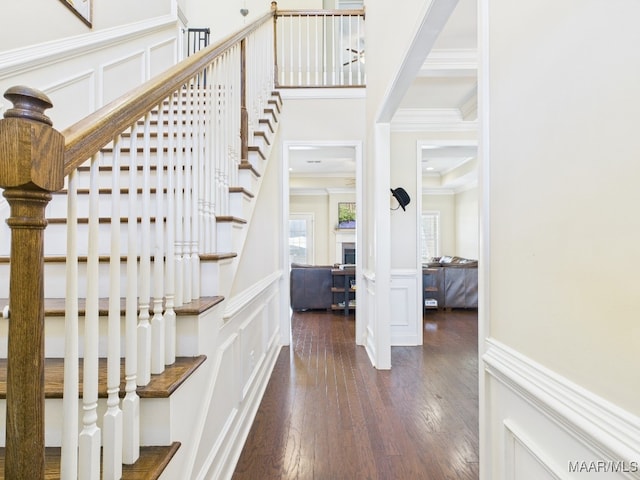 hall with crown molding, a decorative wall, wood-type flooring, and wainscoting