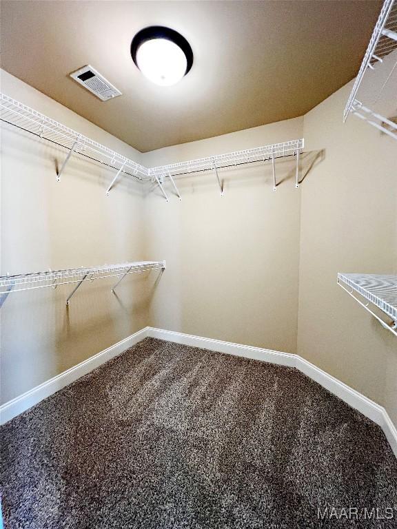 spacious closet with carpet flooring and visible vents