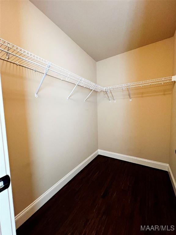 walk in closet with dark wood-style flooring