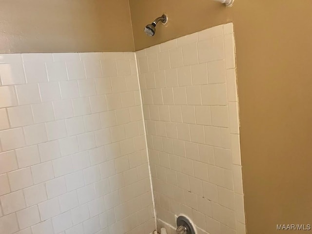 interior details featuring shower / washtub combination