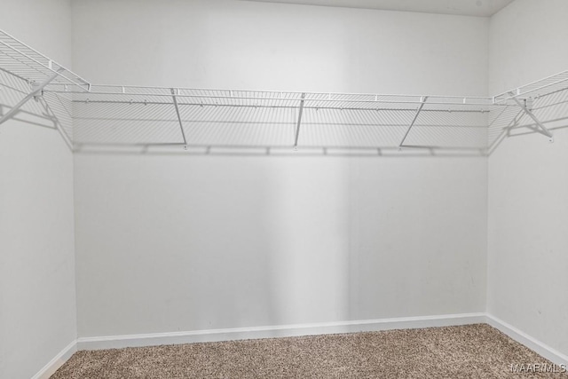 5619 Wyatt Ct, Montgomery, AL 36116 - walk in closet featuring carpet