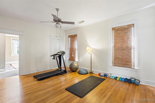 exercise room featuring visible vents, crown molding, baseboards, wood finished floors, and a ceiling fan